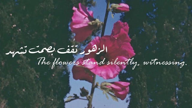 From Individual to Collective Grief: ...