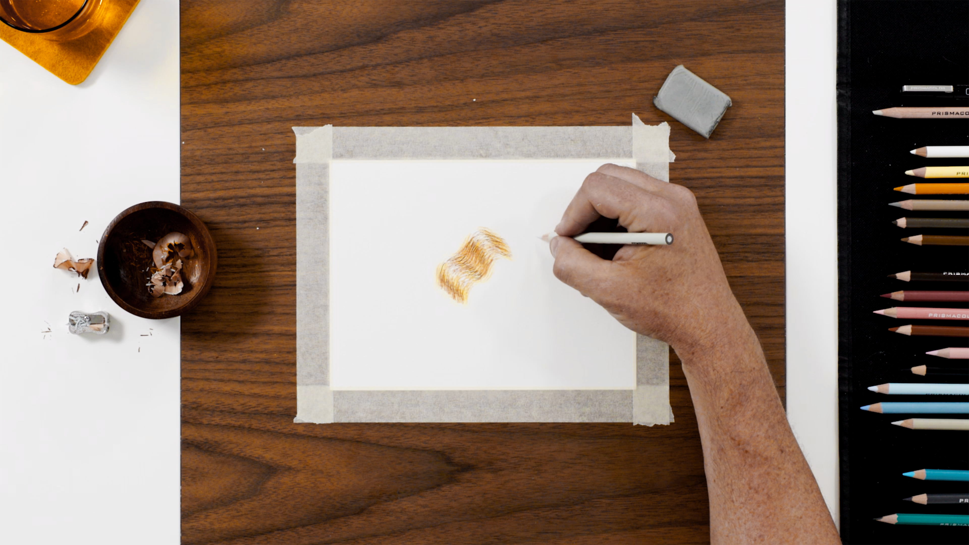 Bonus Video—How to Sketch & Color Pet Fur