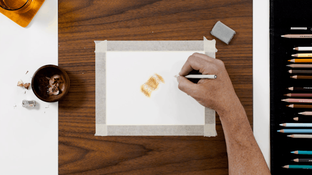 Bonus Video—How to Sketch & Color Pet...