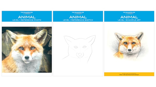 Prismacolor Technique, Art Supplies and Digital Art Lessons, Animal & Nature Drawing Set, Level 1, Learn to Draw with Colored