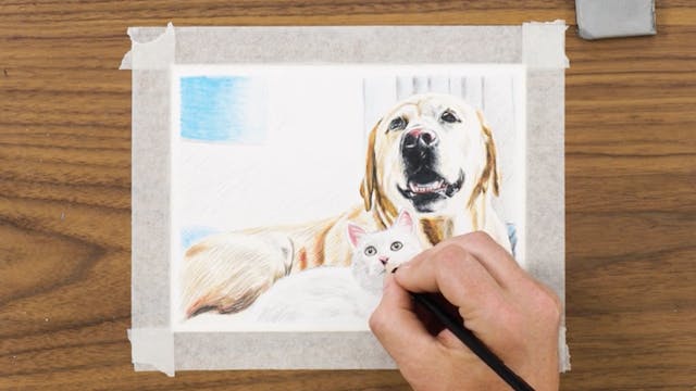 4. Coloring & Shading Cat Portraits