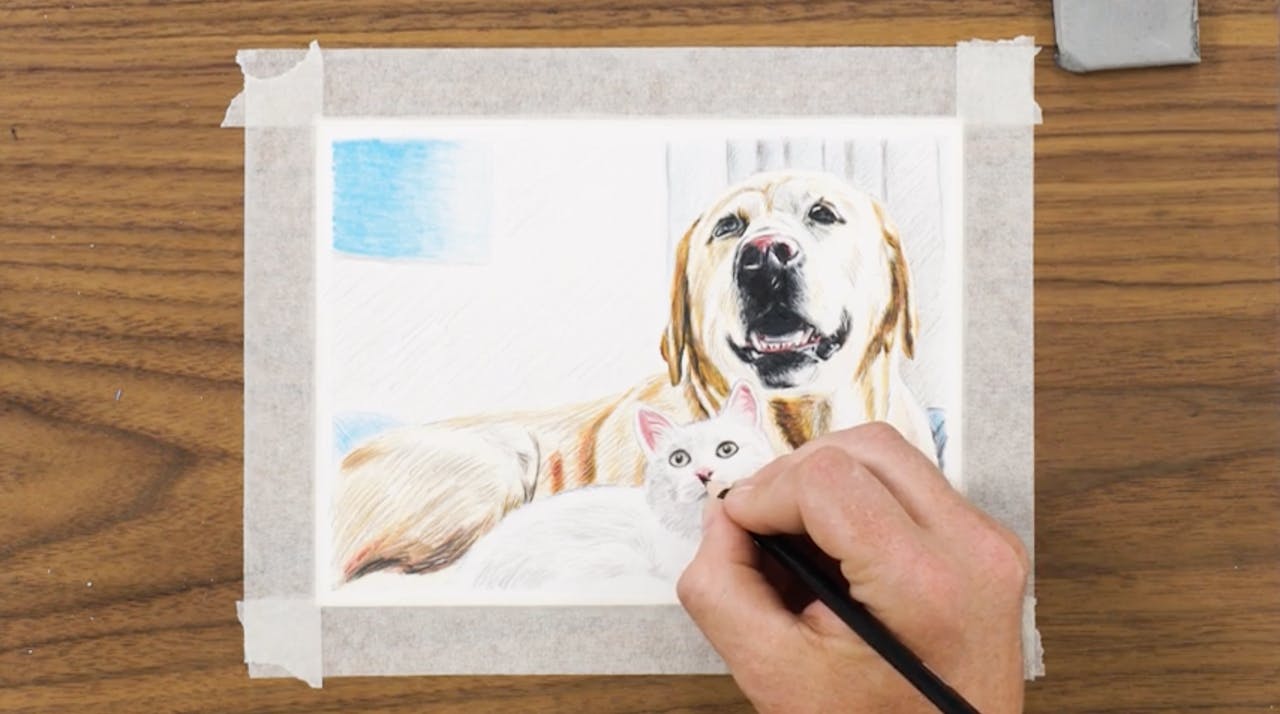 4. Coloring & Shading Cat Portraits Prismacolor Technique™