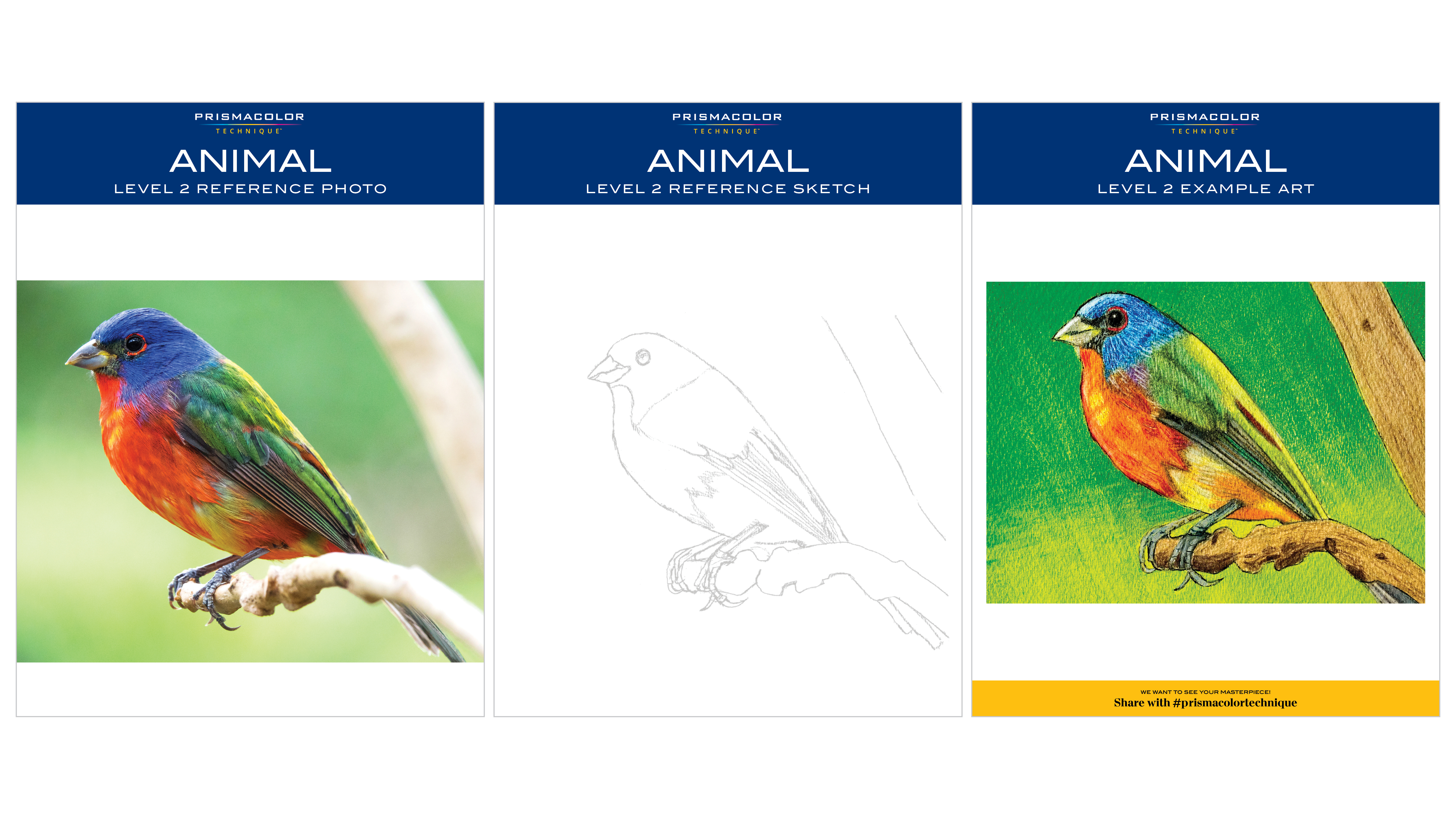 Prismacolor-Techninque-Reference-Animal2.pdf