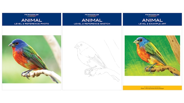 Prismacolor-Techninque-Reference-Animal2.pdf