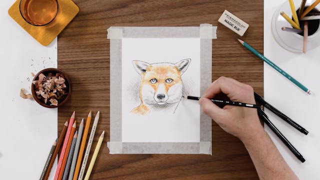 Animal Level 1: Fox Drawing Art Set