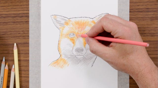 Prismacolor Technique 26pk Animal Drawing Pencils With Digital