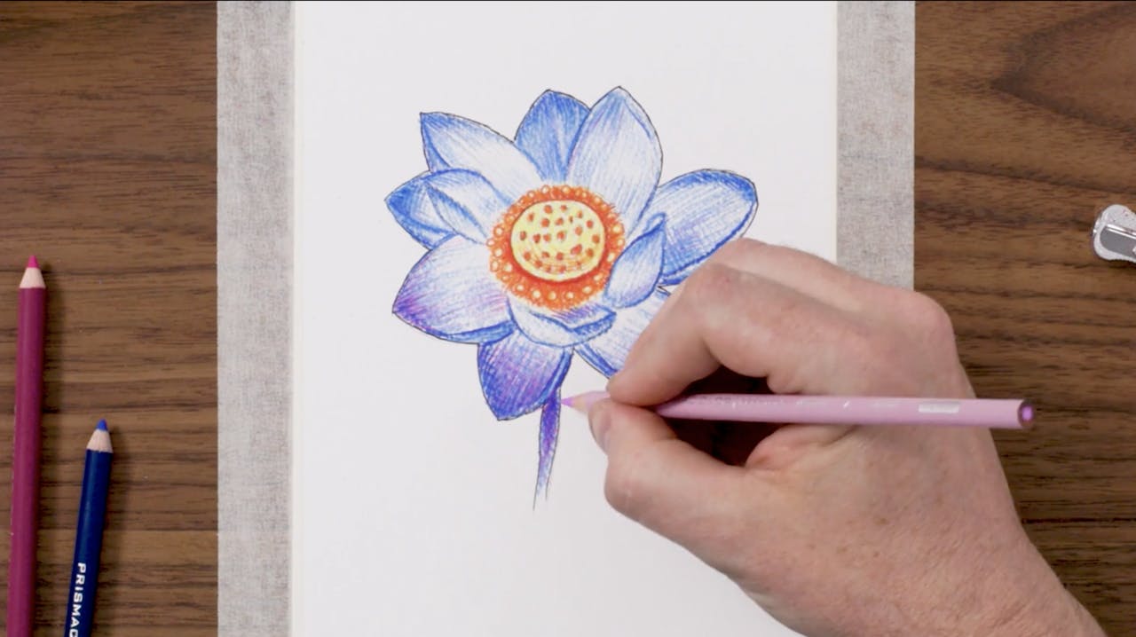 3. Coloring & Shading A Flower’s Center - Nature Level 1: Flower 