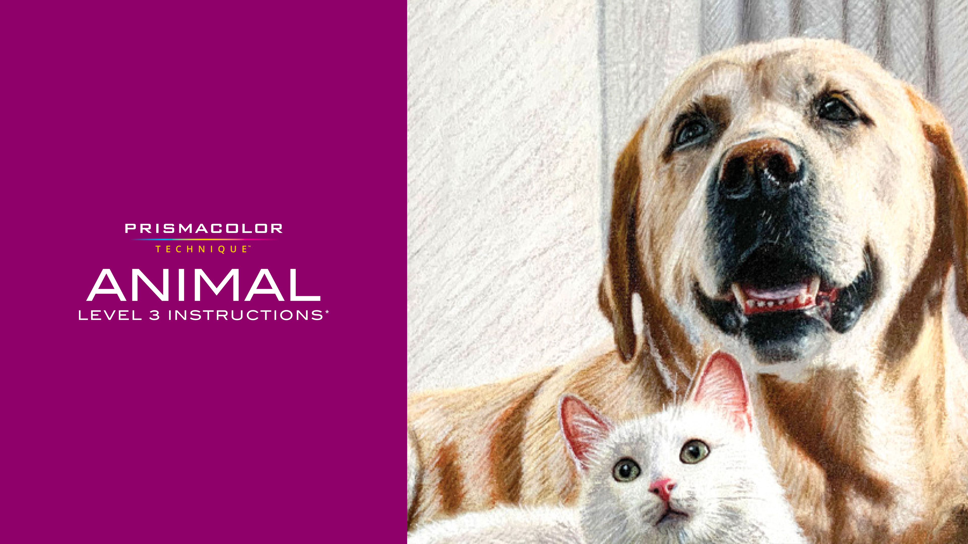 Prismacolor-Techninque-Instructions-Animal3.pdf