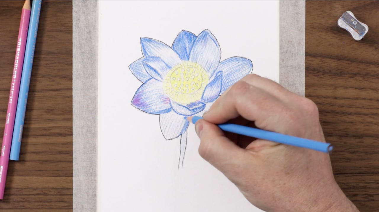 2. Hatching & Cross-Hatching - Nature Level 1: Flower Drawing Art Set ...