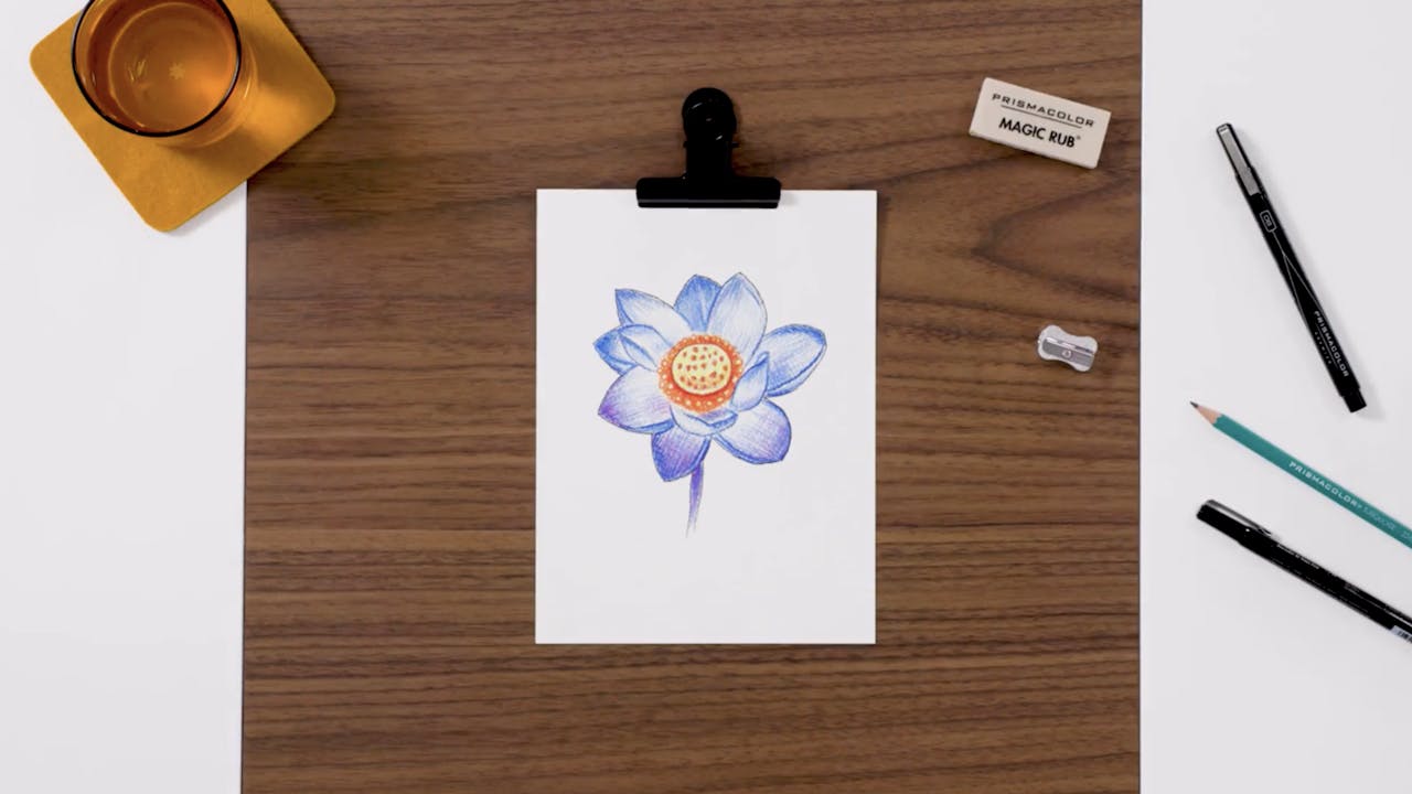 Nature Level 1: Flower Drawing Art Set - Prismacolor Technique™