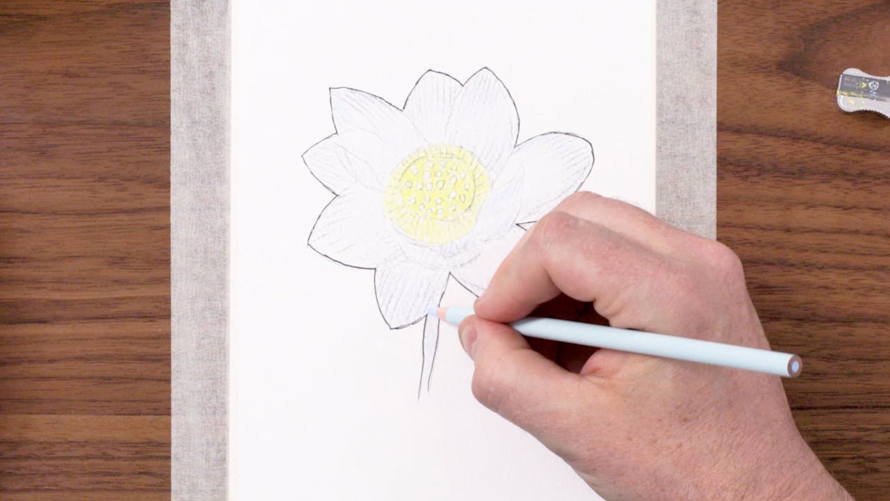 Intro Video with Prismacolor Technique level 1 and 2 for Nature