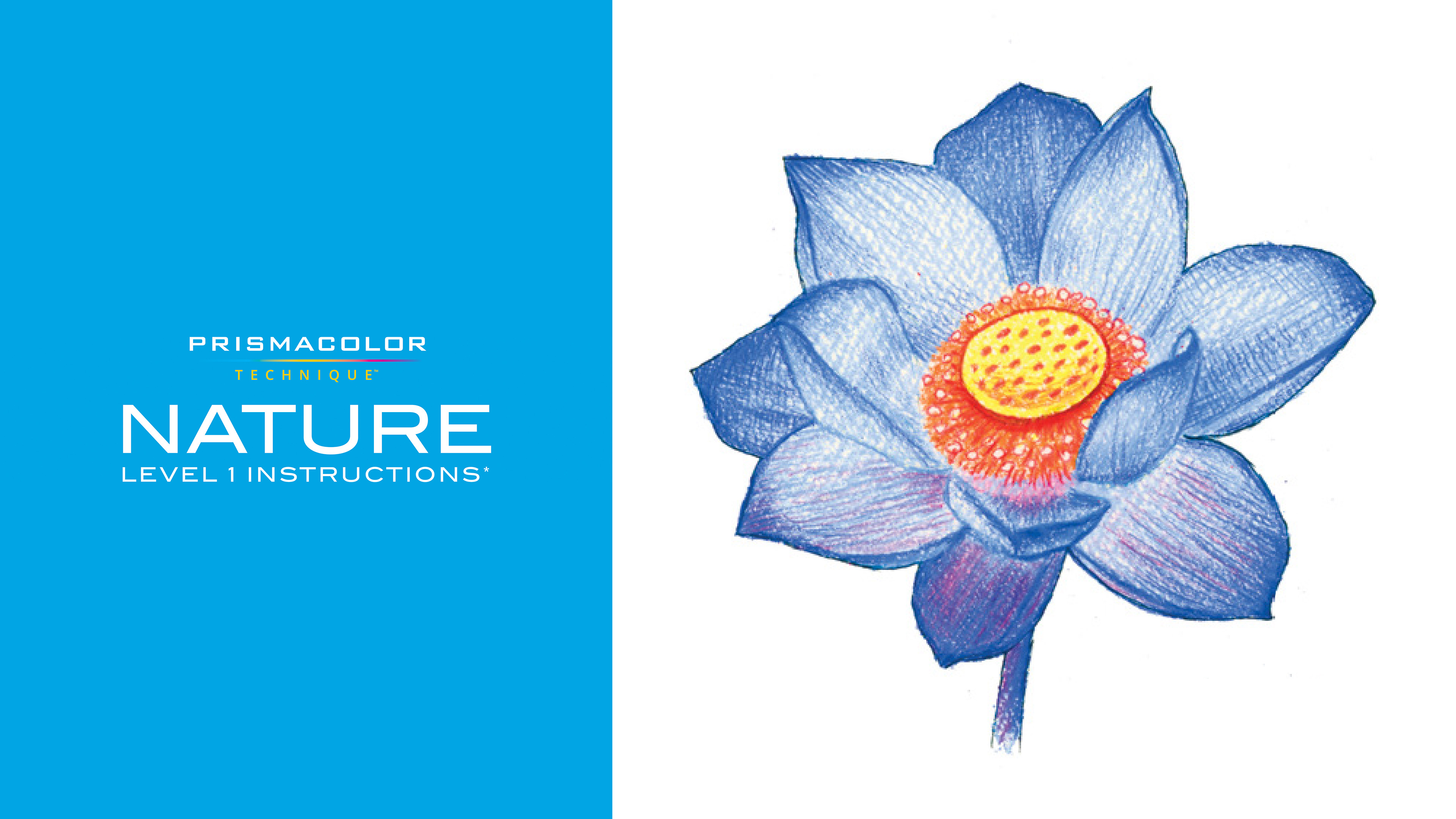 Prismacolor-Techninque-Instructions-Nature1.pdf