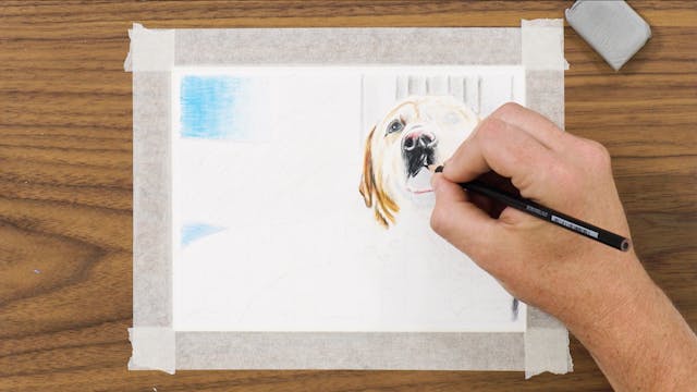 3. Coloring & Shading Dog Portraits