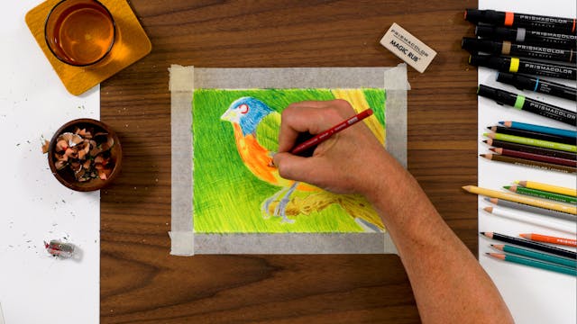 Animal Level 2: Bird Drawing Art Set