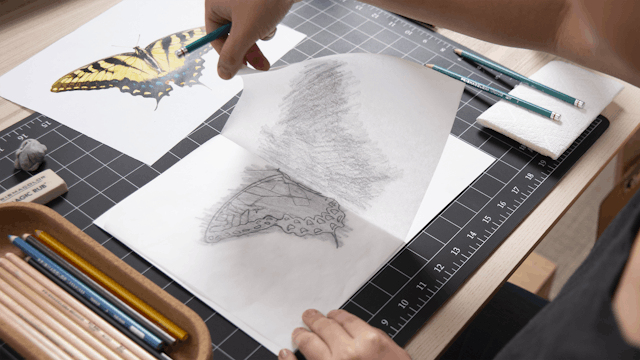 3. Transferring the Outline: Four Ways to Draw