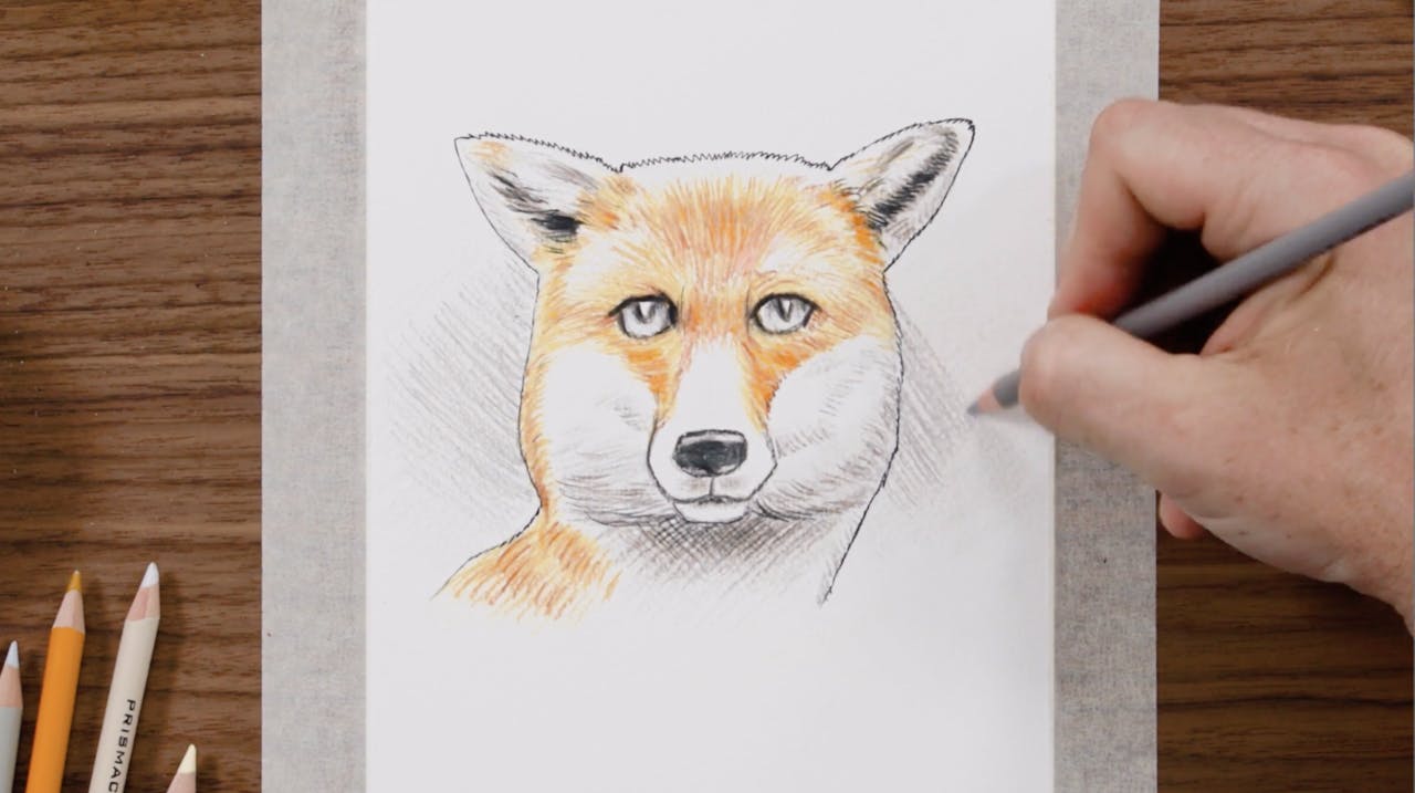 3. Darker Tones & Shadows - Animal Level 1: Fox Drawing Art Set ...