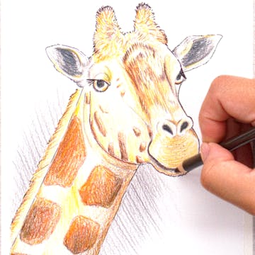 4. Finishing Touches