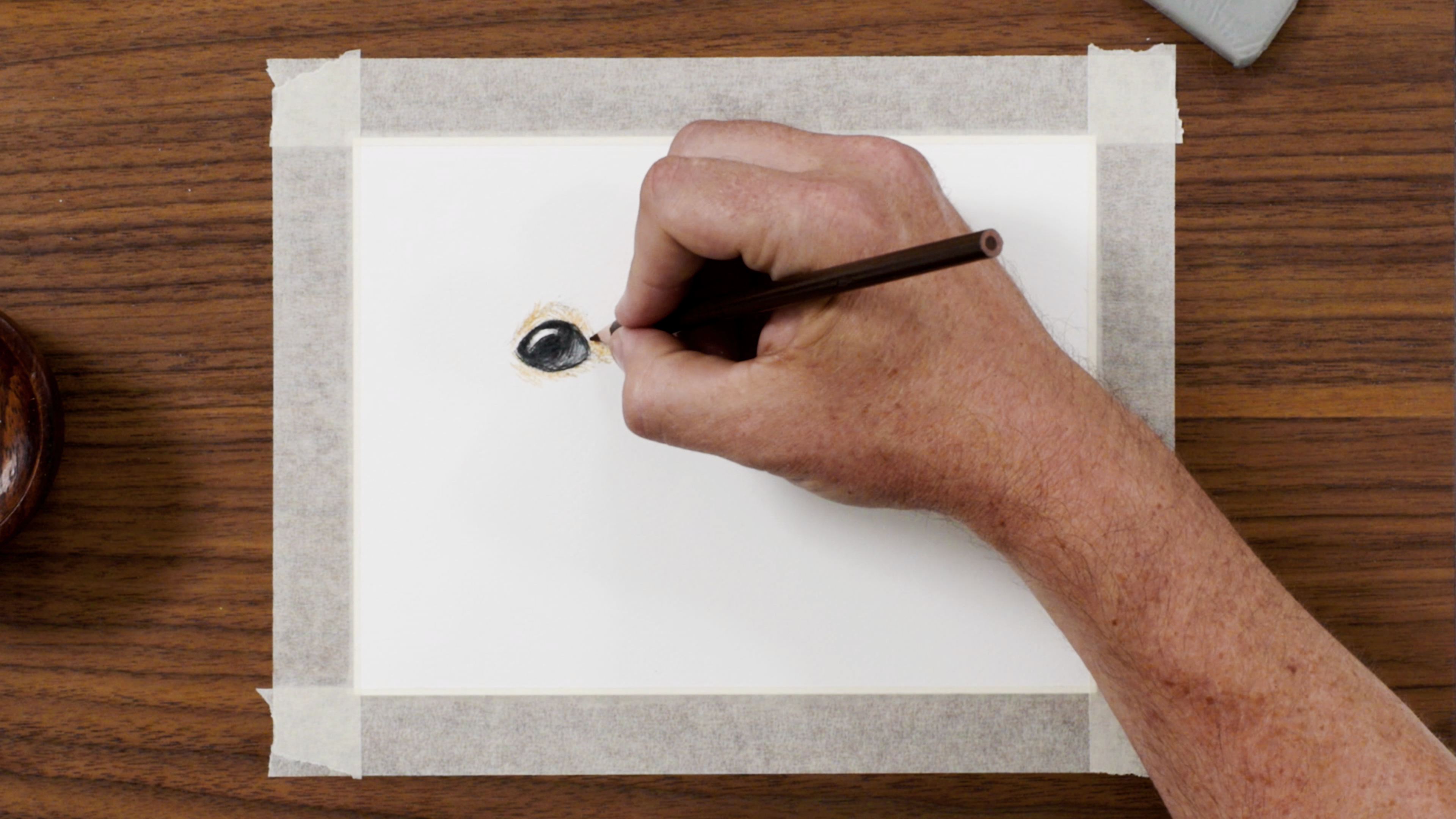 Bonus Video—How to Sketch & Color Pet Eyes