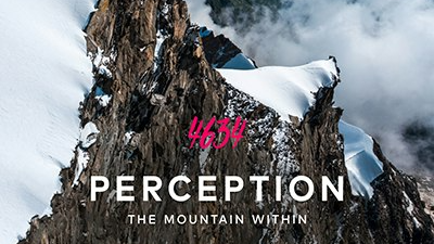 4634 Perception