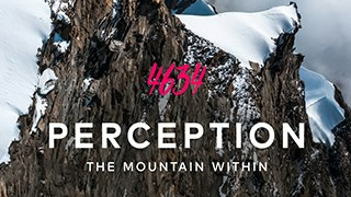 4634 Perception
