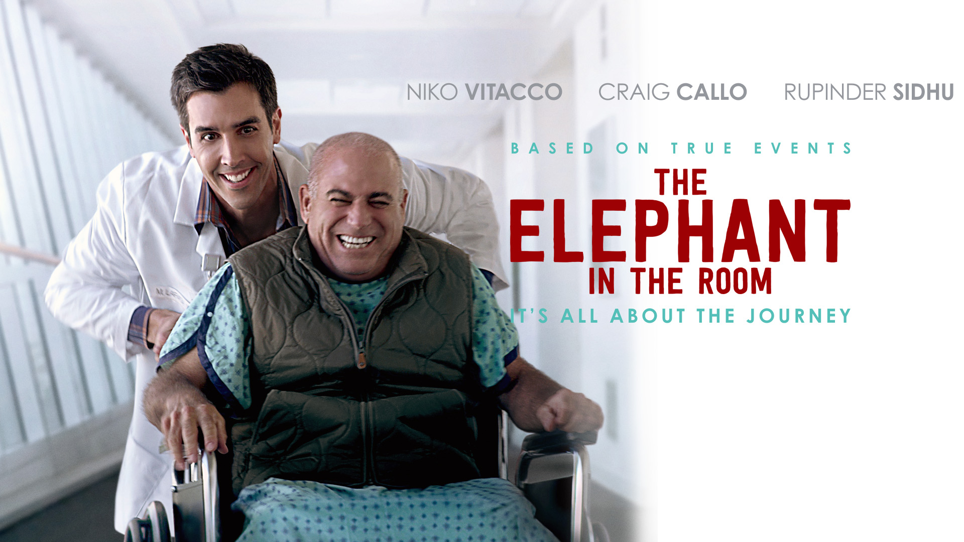 Elephant in the Room