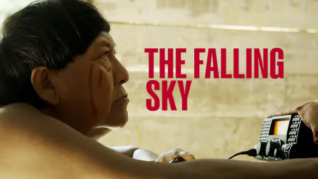 The Falling Sky