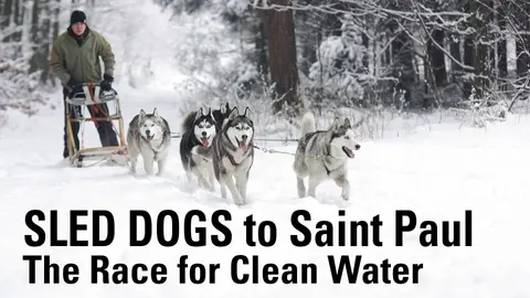 Sled Dogs To Saint Paul The Race For Clean Water
