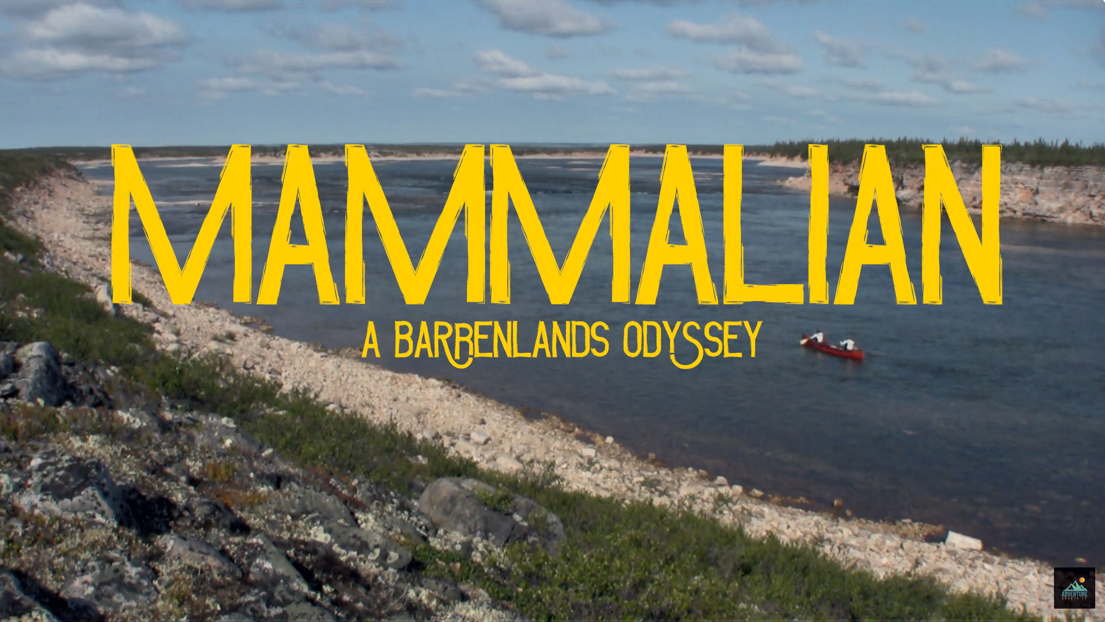 Mammalian