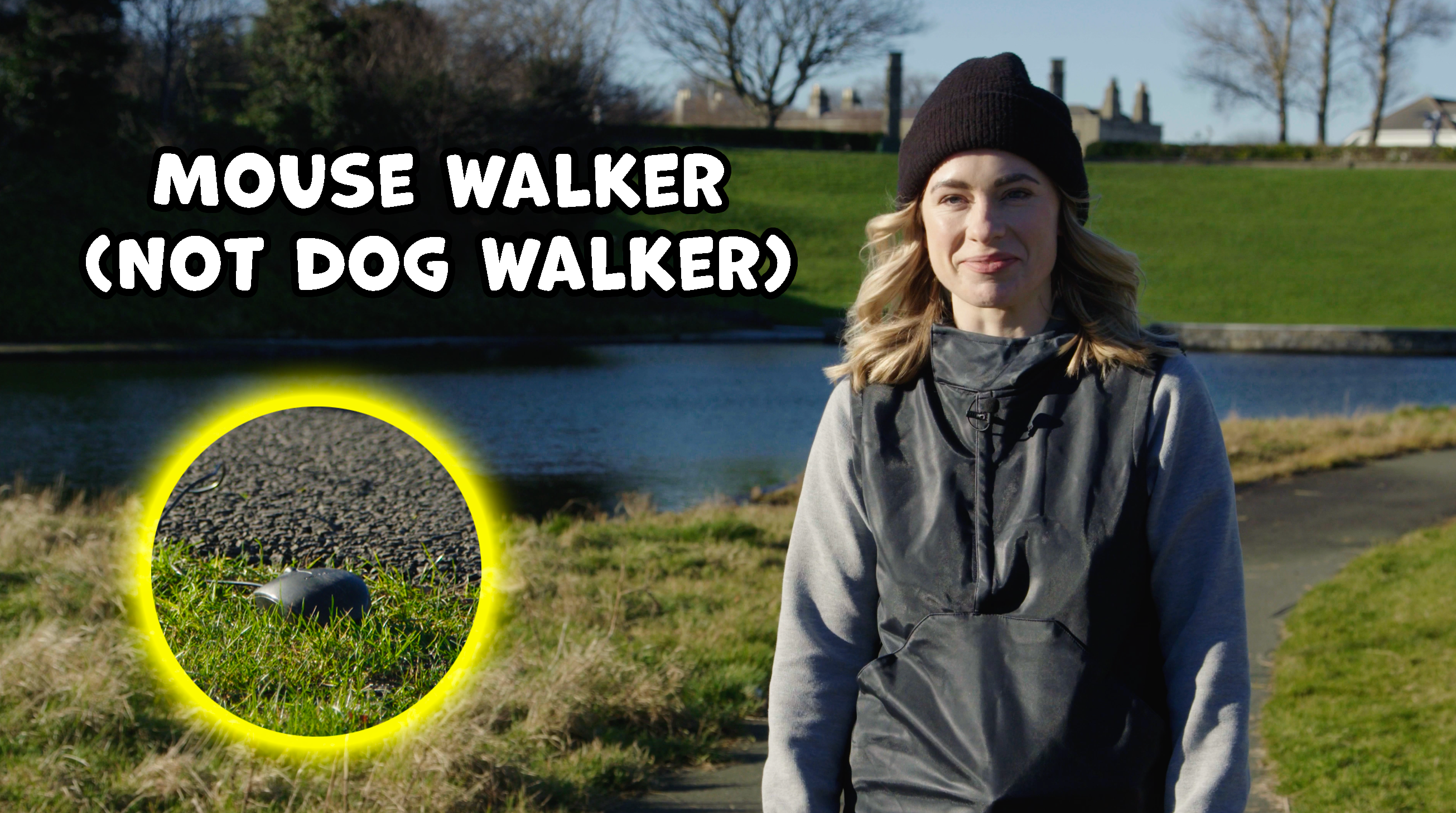 The Mouse Walker (not dog walker)