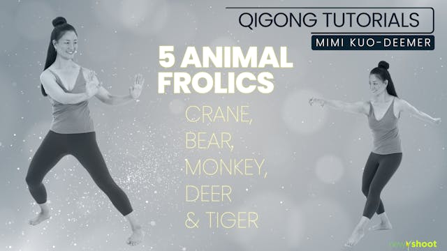 Qigong Tutorials: 5 Animal Frolics - Mimi K-Deemer