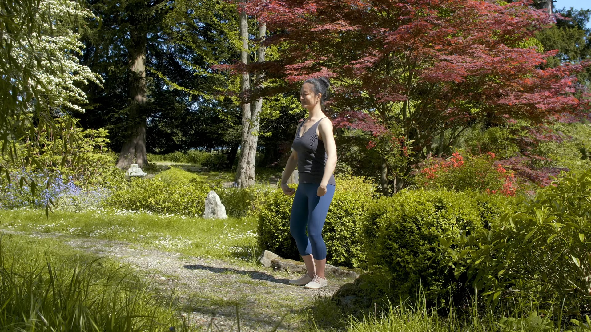 Qigong for Regulating Energy - Five Animal Frolics