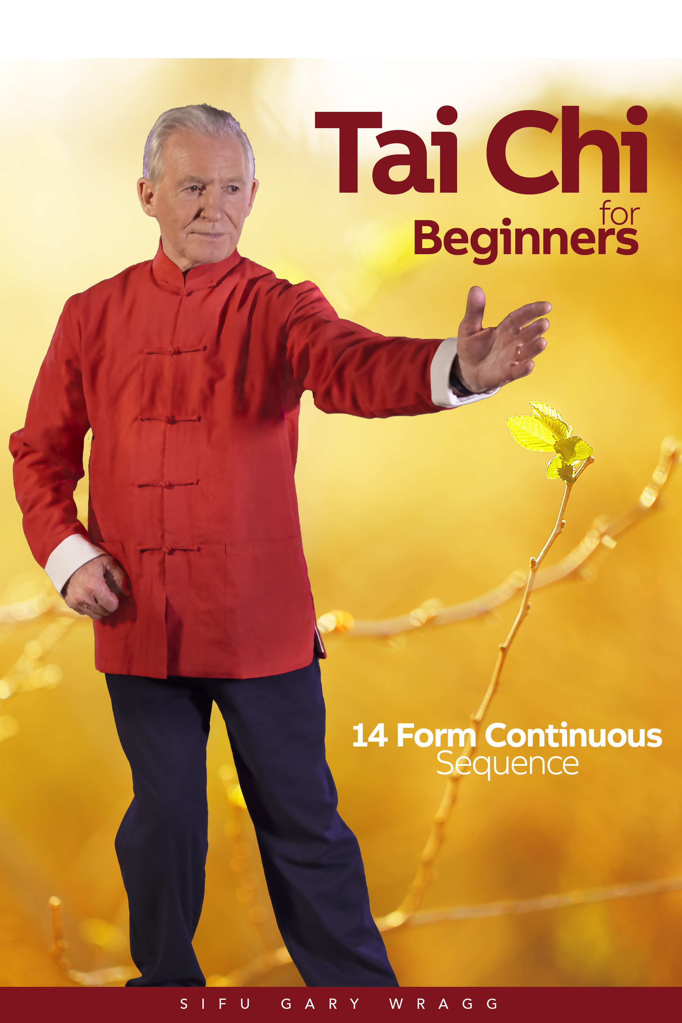 Tai Chi for Beginners - 14 Form Continuous Sequence