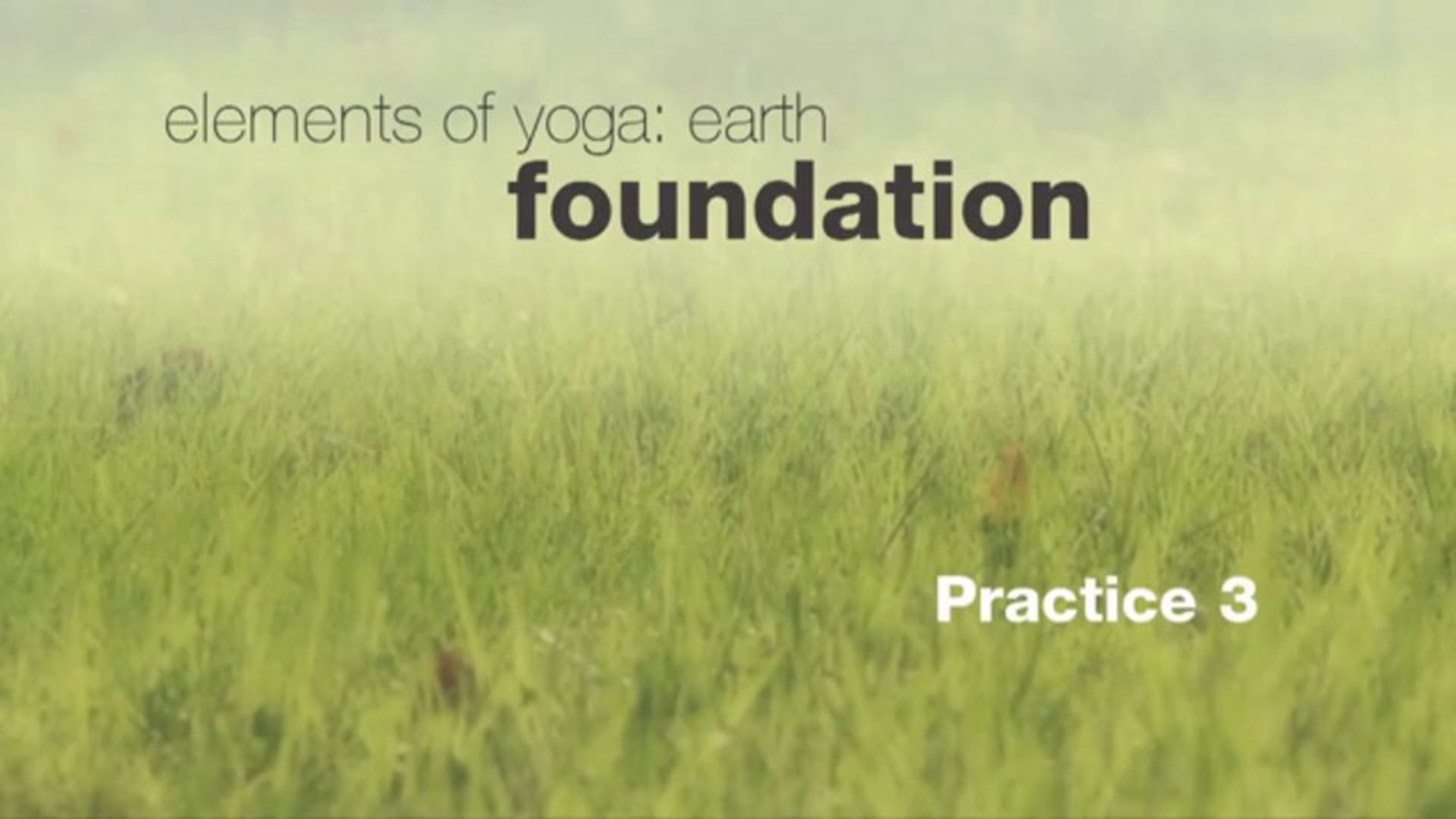 Elements of Yoga: Earth - Practice 3 - with Tara Lee