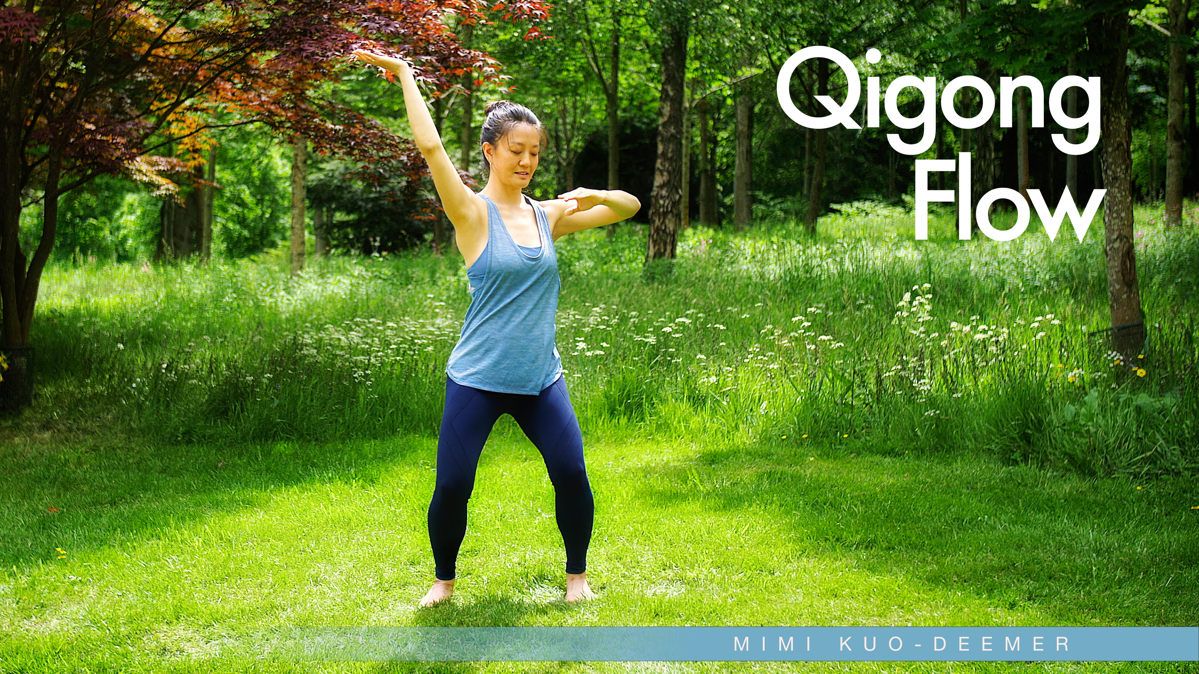 Qigong Flow: Eighteen Forms And Eight Brocades With Mimi Kuo-Deemer ...