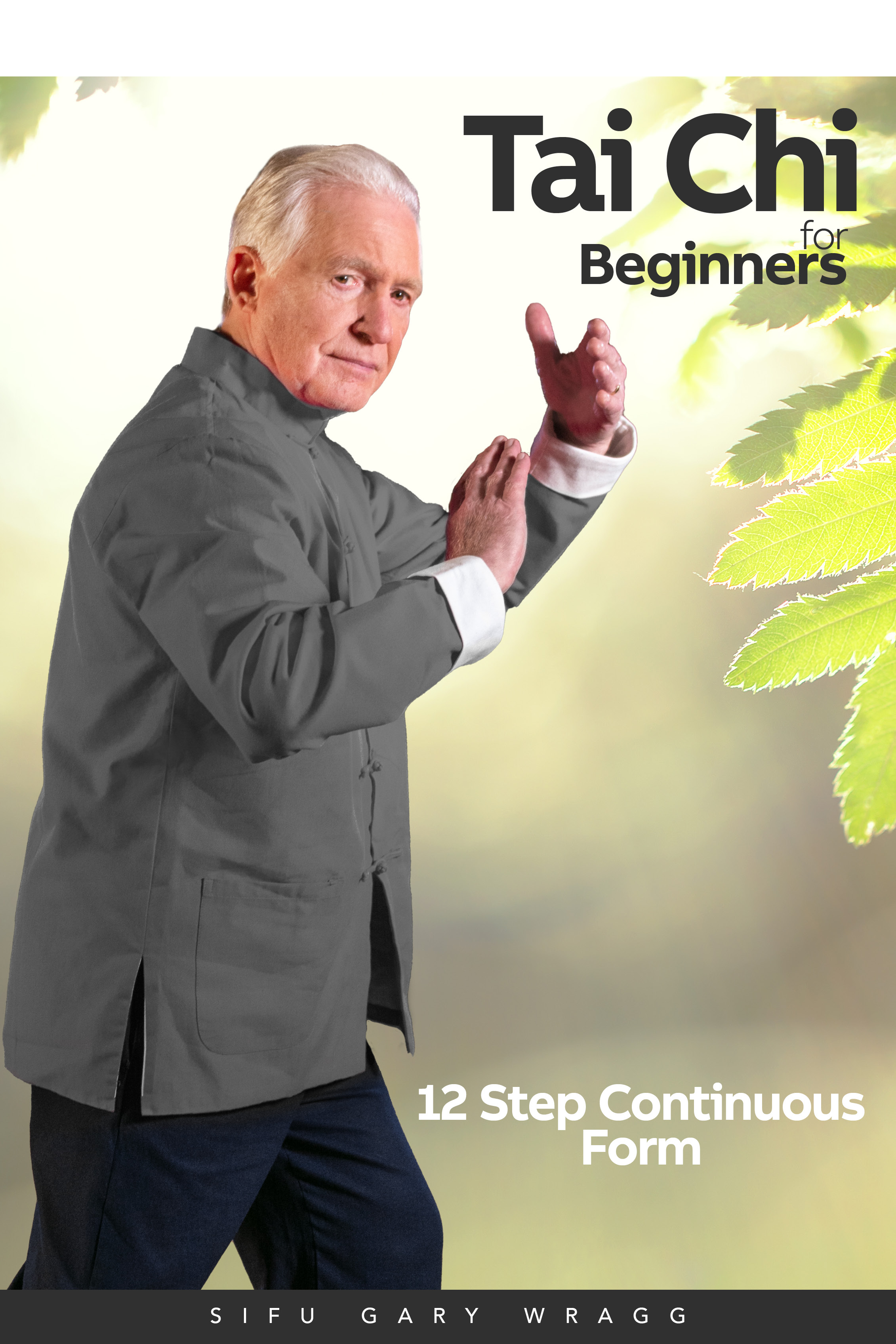 Tai Chi for Beginners - 12 Step Continuous Form