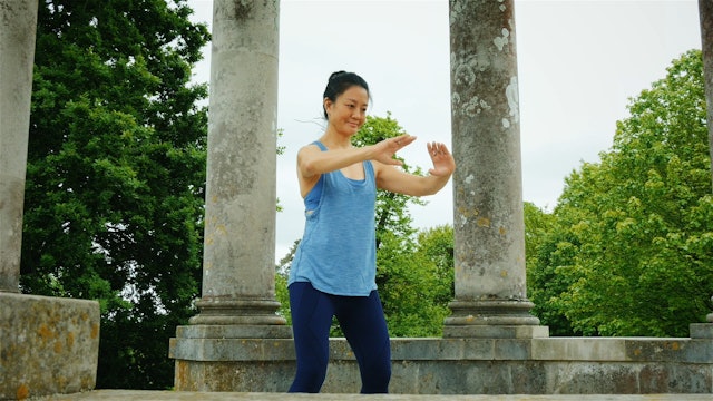 Qigong Basics: Five Element Practices for Health and Wellbeing - Organ Mudra Meditation
