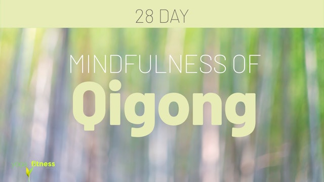 Mindfulness of Qigong
