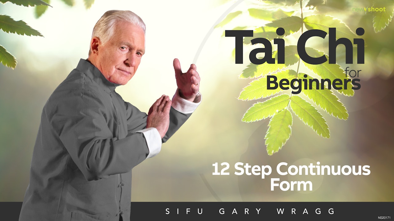 Tai Chi for Beginners - 12 Step Continuous Form