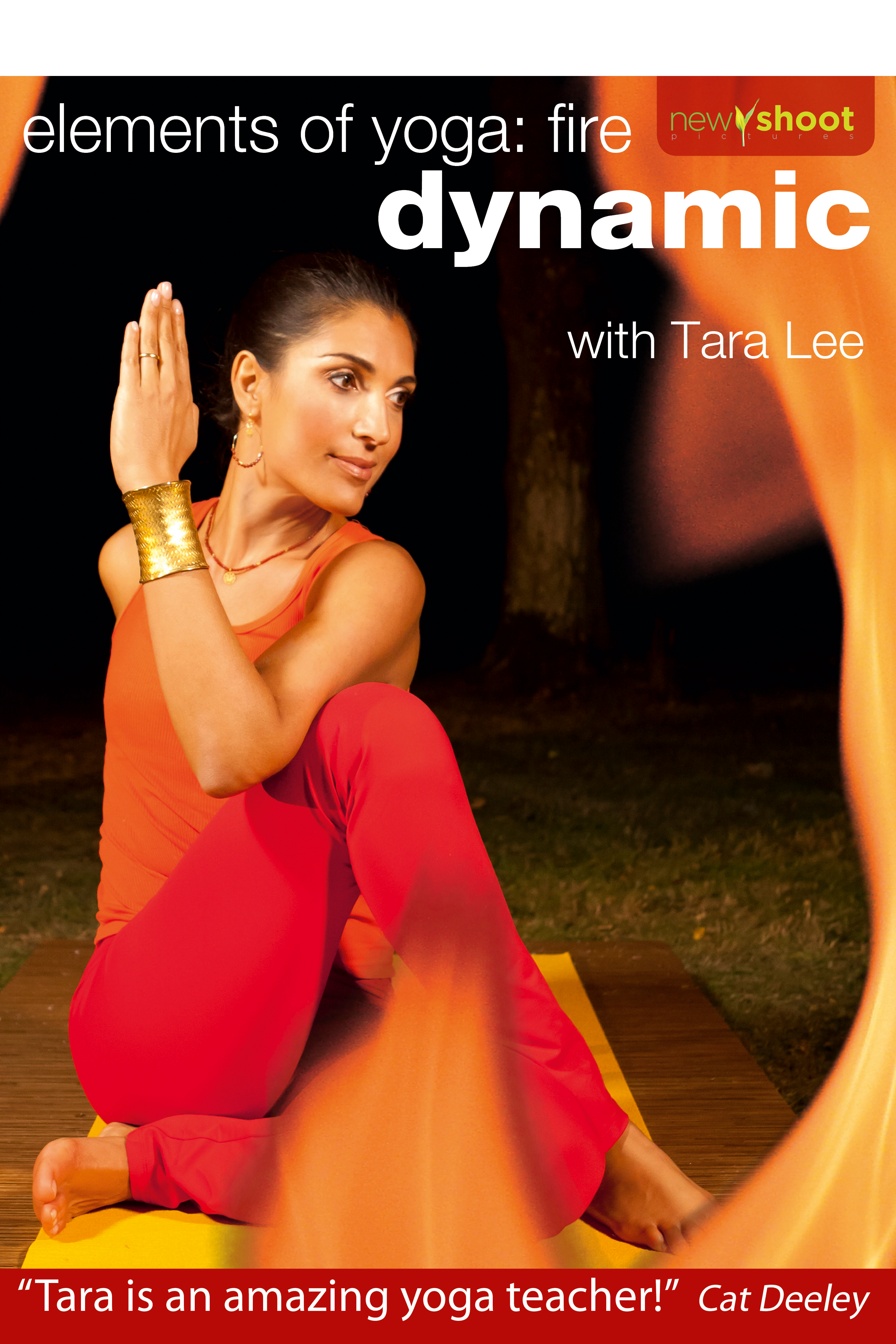 Fire: Dynamic Yoga: Elements of Yoga with Tara Lee