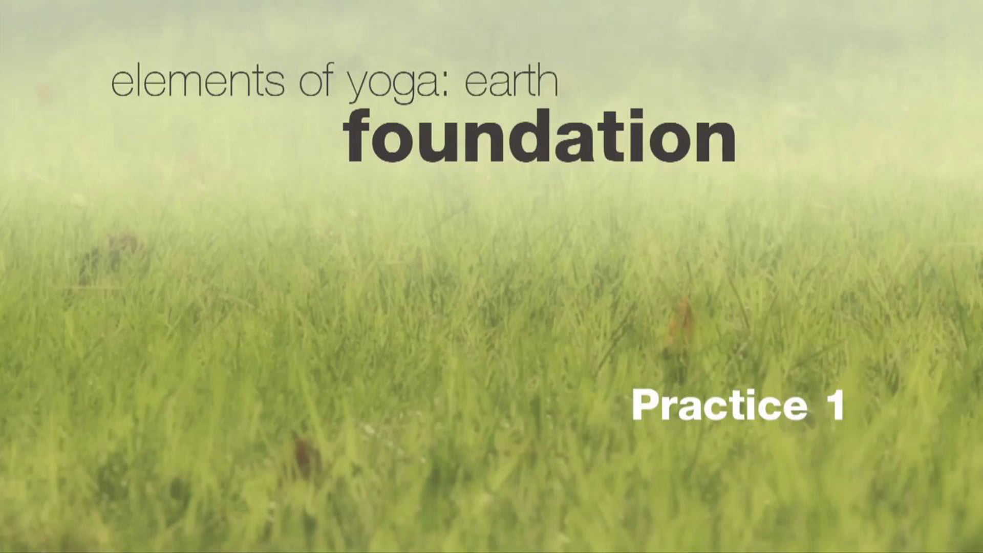 Elements of Yoga: Earth - Practice 1 - with Tara Lee