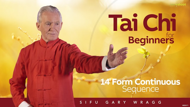 Tai Chi for Beginners - 14 Form Continuous Sequence