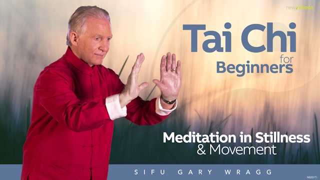 Tai Chi for Beginners - Meditation and Stillness in Movement