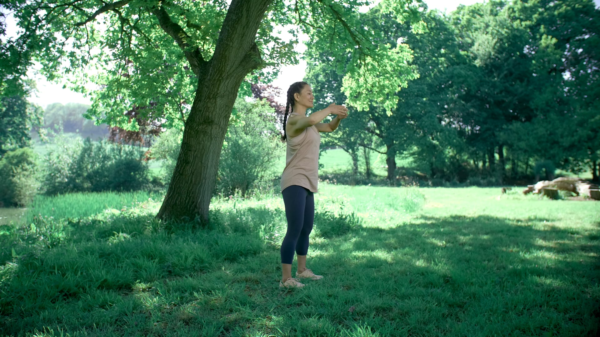 Five Forms for the Five Organs and Emotions