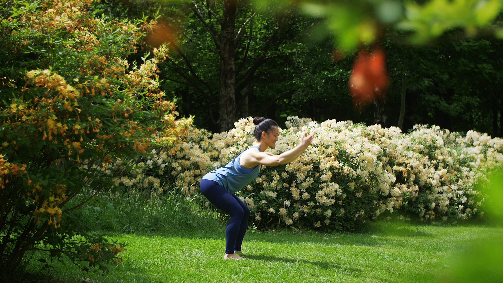 Qigong Basics: Five Element Practices for Health and Wellbeing - Five Element Forms