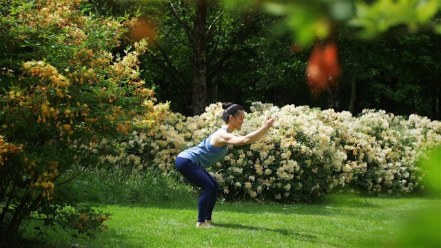 Qigong Basics: Five Element Practices...