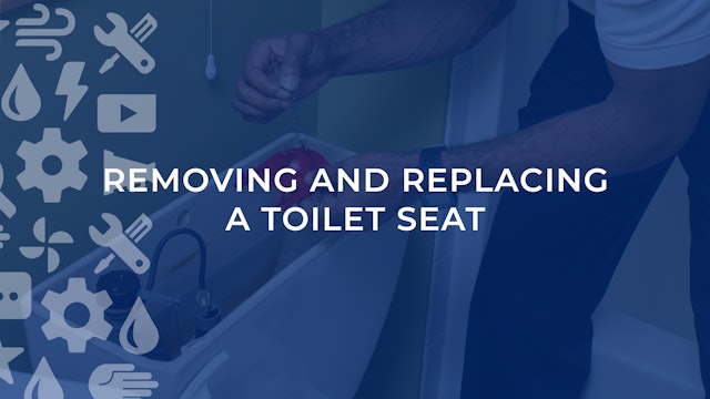 Remove and Replace A Toilet Seat