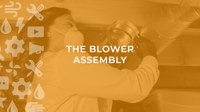 The Blower Assembly