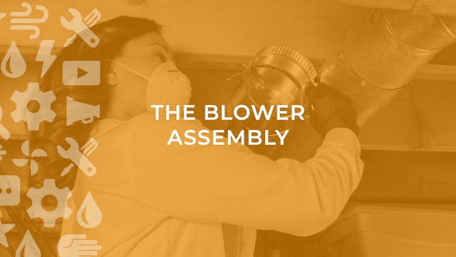 The Blower Assembly