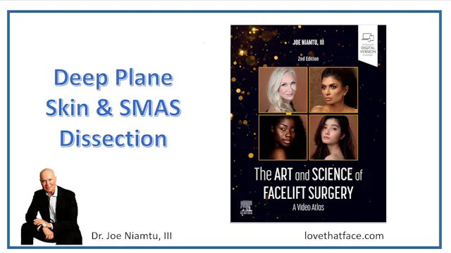 Skin and SMAS Dissection