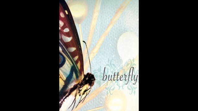 Butterfly - 4. Feel You